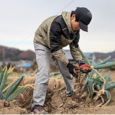祖父母の遺志を受継いだながい農園下仁田ねぎ食べ比べセット(M:2本 L:2本 LL:3本)