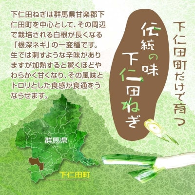 祖父母の遺志を受継いだながい農園下仁田ねぎ食べ比べセット(M:2本 L:2本 LL:3本)