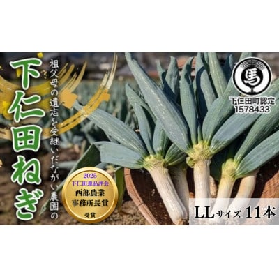 【伝統野菜】本場!ながい農園の下仁田ねぎ(LLサイズ11本) 群馬県下仁田町産