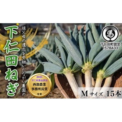 【伝統野菜】本場!ながい農園の下仁田ねぎ(Mサイズ15本) 群馬県下仁田町産