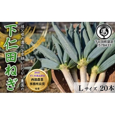 【伝統野菜】本場!ながい農園の下仁田ねぎ(Lサイズ20本) 群馬県下仁田町産