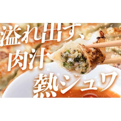 「下仁田名産シリーズ」下仁田ねぎ殿様餃子 60個(20個入り×3袋)F21K-488