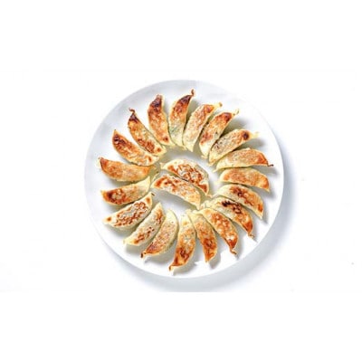 「下仁田名産シリーズ」下仁田ねぎ殿様餃子 60個(20個入り×3袋)F21K-488