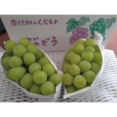 南信州阿智村　シャインマスカット 2～3房(1.5kg)