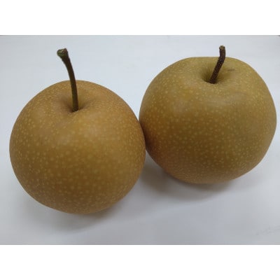 南信州阿智村　梨【豊水】5kg