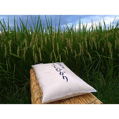 【毎月定期便】南信州阿智村　コシヒカリ10kg全3回