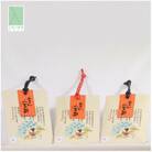 おまん小豆茶(ティーバッグ)10個入り×3袋