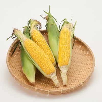 南信州産とうもろこし 10本