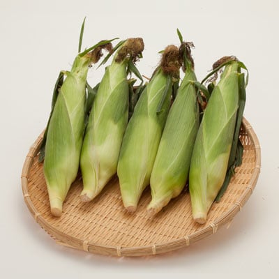 南信州産とうもろこし 10本