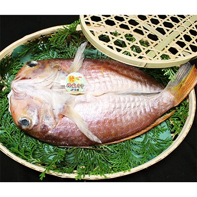丹後のぐじ(甘鯛)の一夜干し