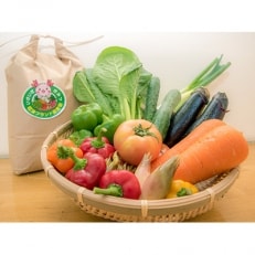 JAきみつ旬の野菜詰合せセットとコシヒカリ1kgのセット