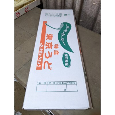 江戸東京野菜ウド 4kg(本数おまかせ)