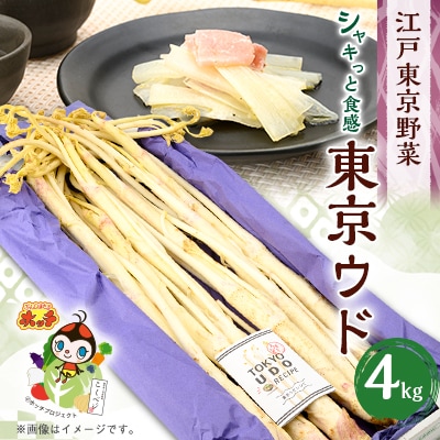 【季節限定・1月中旬〜3月下旬発送】江戸東京野菜東京ウド　4kg