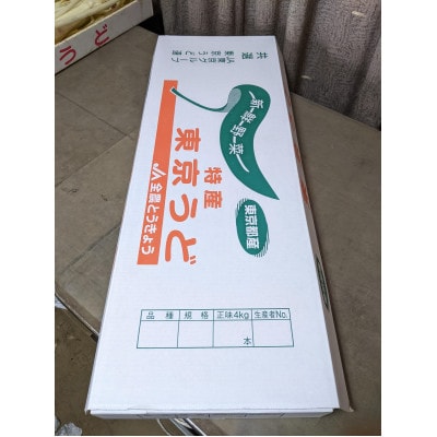 【季節限定・1月中旬〜3月下旬発送】江戸東京野菜東京ウド　4kg