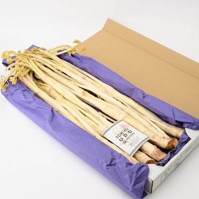 【季節限定・1月中旬〜3月下旬発送】江戸東京野菜東京ウド　4kg