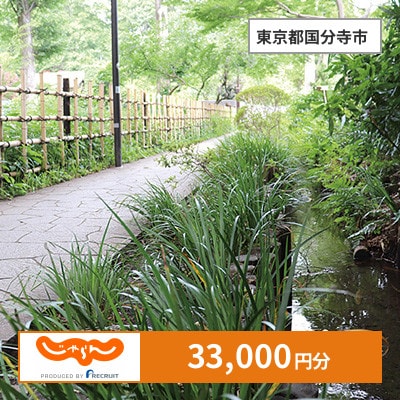 【じゃらんふるさと納税クーポン】 東京都国分寺市でつかえる33,000円 クーポン