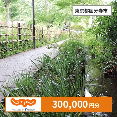 【じゃらんふるさと納税クーポン】 東京都国分寺市でつかえる300,000円 クーポン