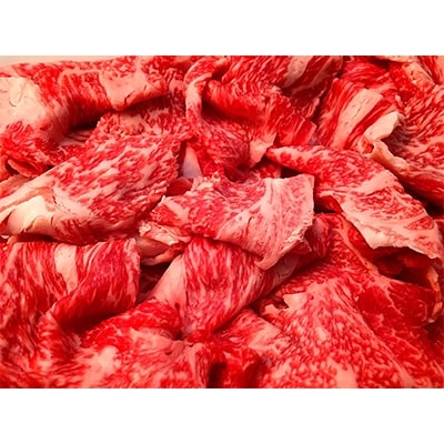 飛騨牛切り落とし300g×2