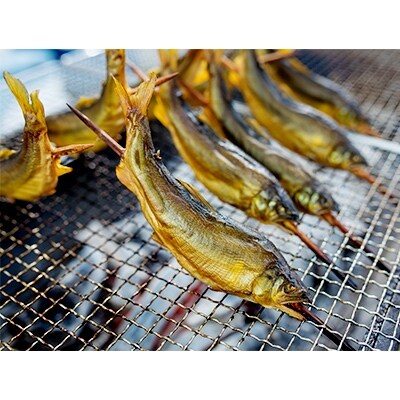 「2021年7月中旬発送」鮎うまみ焼き　大サイズ(7本入)
