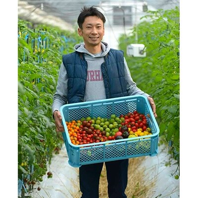 宝石とまと ギフト1.2kg