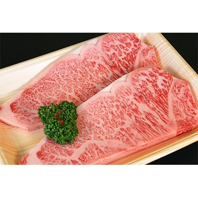 球磨産黒毛和牛 サーロインステーキ500g(250g×2枚) 【多良木】
