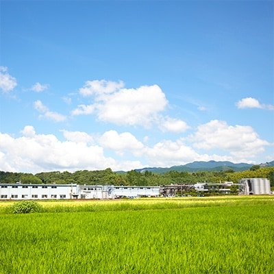 本格米焼酎「白岳」6本セット