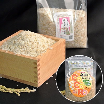 「2020年3月下旬発送」津山産巨大胚芽米CoCoRo5k、カラダ麗し米1k、ギャバ味噌500g