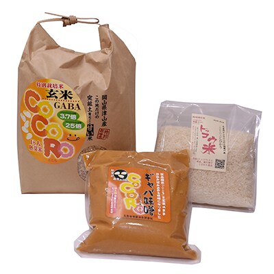 「2020年9月下旬発送」津山産ギャバ味噌900g、巨大胚芽米3kg、トッコウ米こしひかり1kg
