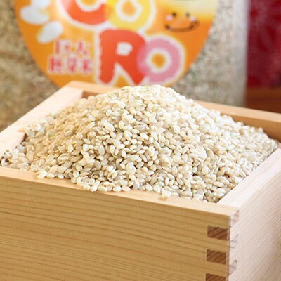 「2020年9月下旬発送」津山産ギャバ味噌900g、巨大胚芽米3kg、トッコウ米こしひかり1kg