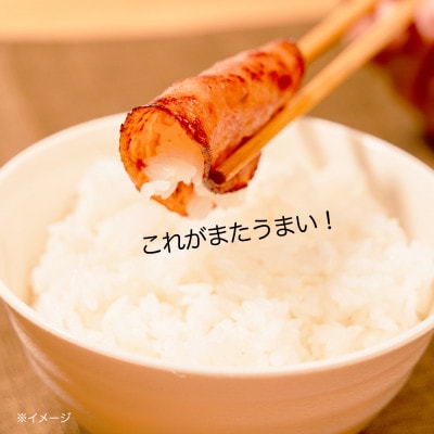 【ふるさと納税】シャウスライス 夜味 108g × 12パック 徳島 日本ハム 冷蔵 015-084