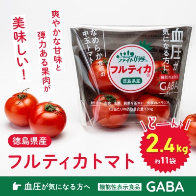ファイトリッチ「フルティカ」2.4kg 009-102