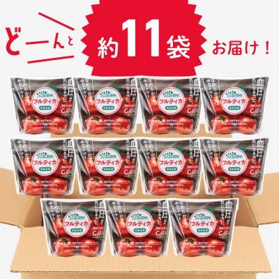ファイトリッチ「フルティカ」2.4kg 009-102
