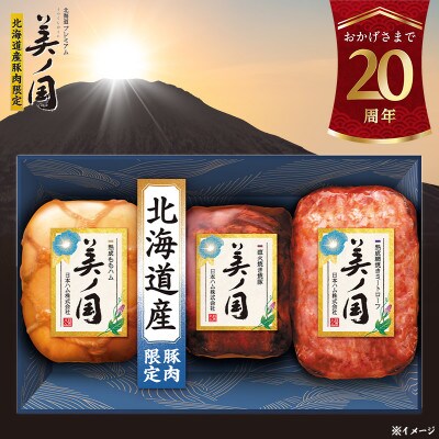 北海道プレミアム 美ノ国 詰め合わせ 3点 セット 国産 ギフトや歳暮にも 日本ハム 015-105