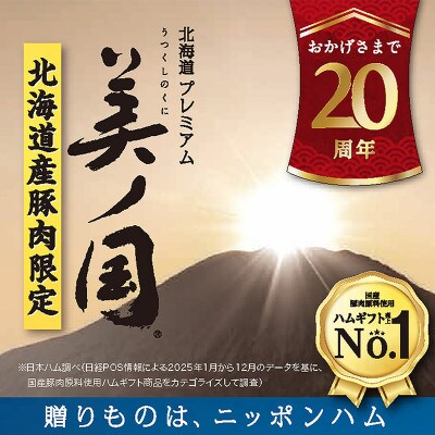 北海道プレミアム 美ノ国 ブロック & スライス 7点セット 国産 日本ハム 019-101