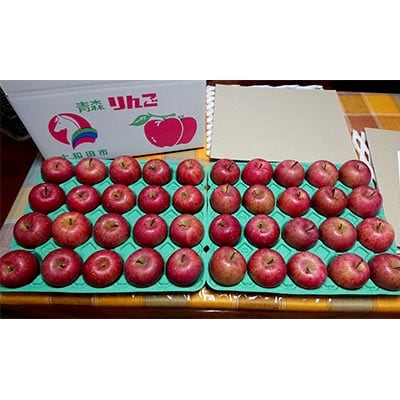 【1月発送】十和田深持りんご【サンふじ】10kg(中玉40個)