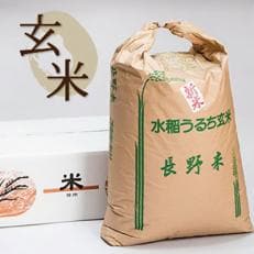 2022年産 【南信州高森産】コシヒカリ玄米30kg