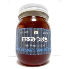 日本みつばち百花蜜450g