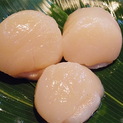 【網走前浜産】 極上浜茹で本ズワイガニ700g級2尾・無添加ホタテ貝柱500g(250gパック×2)