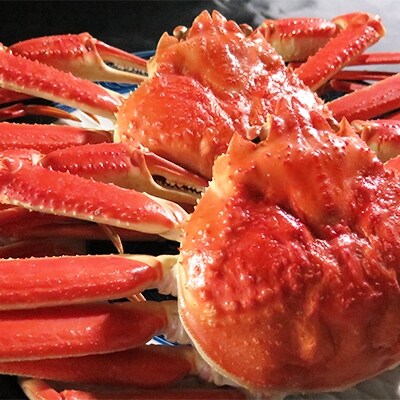 【網走前浜産】 極上浜茹で本ズワイガニ700g級2尾・無添加ホタテ貝柱500g(250gパック×2)