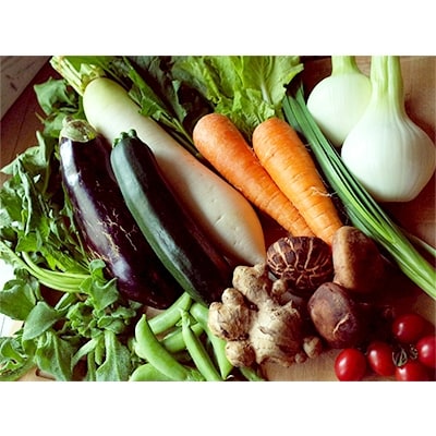 【土佐野菜】旬の野菜の詰め合わせと栽培期間中に農薬不使用の生姜500g付き