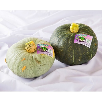 【JAS認定有機野菜】旬の南瓜とお野菜セット(南瓜1個と野菜6種類入り)