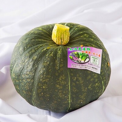 【JAS認定有機野菜】旬の南瓜とお野菜セット(南瓜1個と野菜6種類入り)