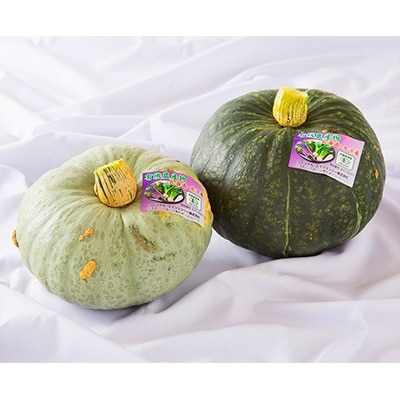 【JAS認定有機野菜】旬の南瓜5～7個セット