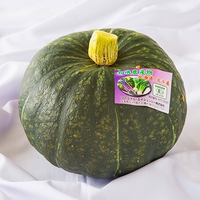 【JAS認定有機野菜】旬の南瓜5～7個セット