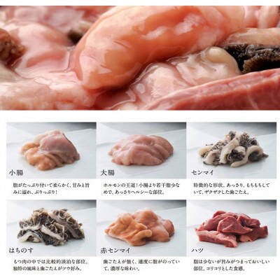 元祖もつ鍋楽天地3~4人用大容量国産牛モツ600g(行橋市)