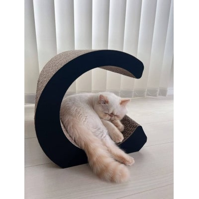 猫の爪とぎ・RING(S)/BLACK AL-070