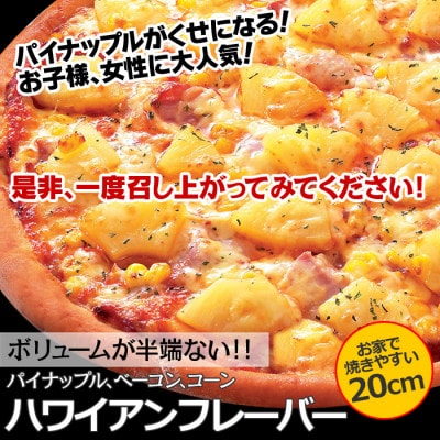 職人さんの手作りピザ～マルゲ、シーフード、明太もち、ポテト、ハワイアンの5枚セット～　CT-005