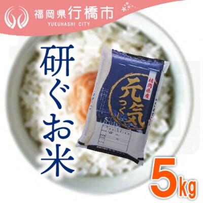 福岡県産元気つくし5kg(行橋市)