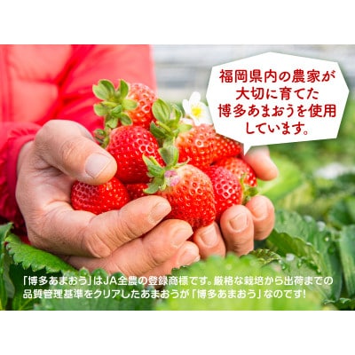 博多あまおう たっぷり苺のアイス【AH-TPF】(行橋市)