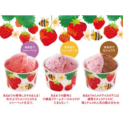 博多あまおう こだわりアイス【AH-ABF】(行橋市)